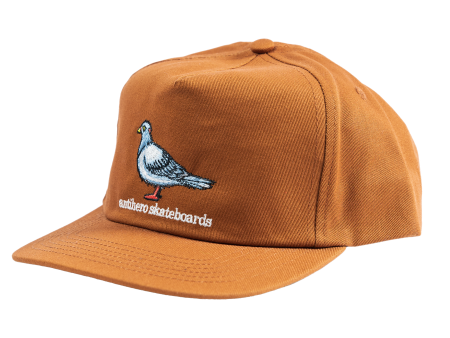 ANTIHERO LIL PIGEON SNAPBACK MED BROWN Sale