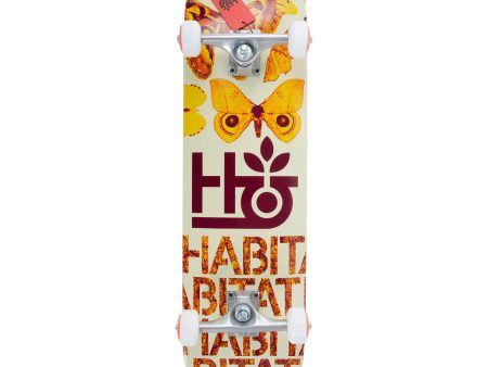 HABITAT INSECTA ORANGE COMPLETE Discount