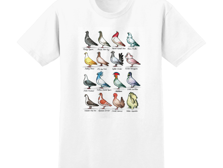 ANTI HERO SHOW PIGEONS TEE WHITE Hot on Sale