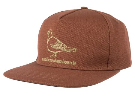 ANTI HERO BASIC PIGEON SNAPBACK HAT BROWN on Sale