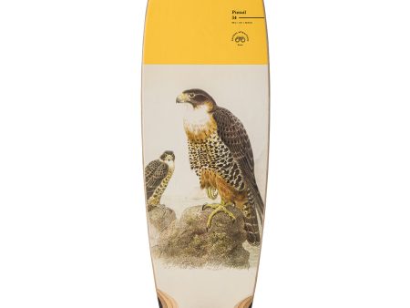 GLOBE PINTAIL 34 CRUISER 30.5  FALCON Online Hot Sale